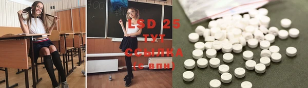 сатива Сосновка