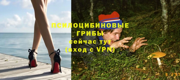 сатива Сосновка