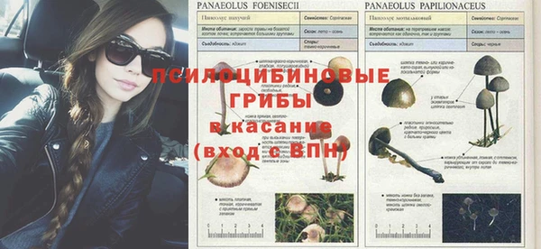 винт Баксан